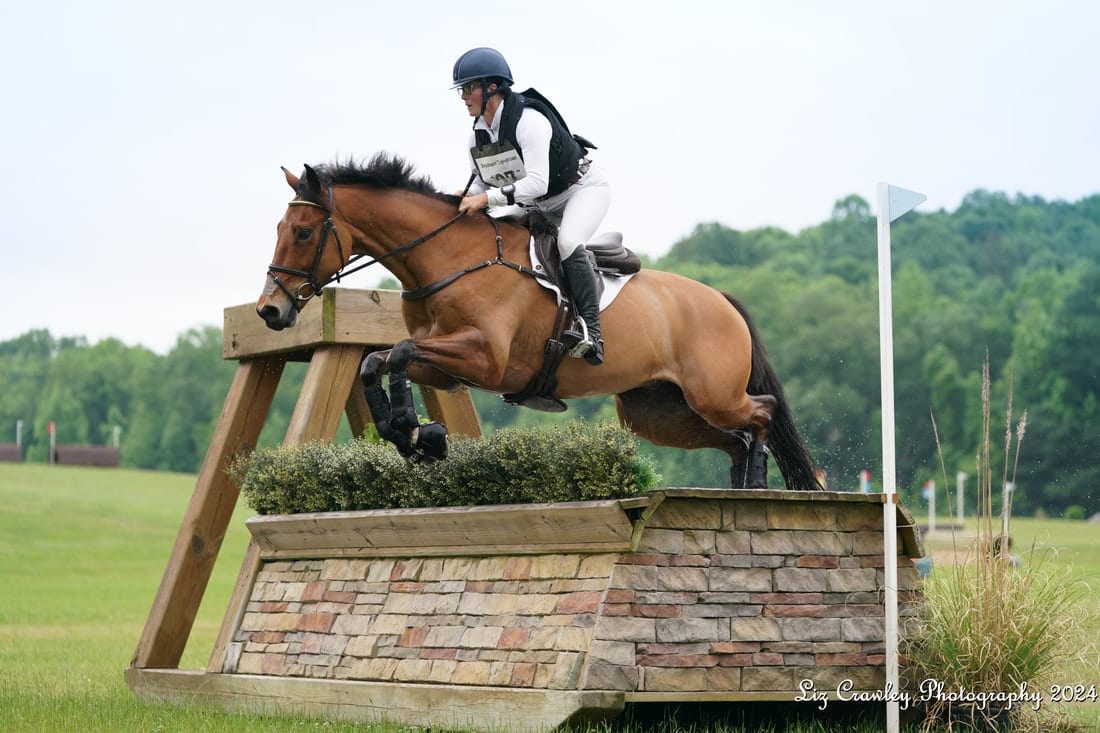 Sponsored rider Caitlin Romeo on Fernhill B Good, Johnny, of Caitlin Romeo Equestrian at Woodlawn Farm