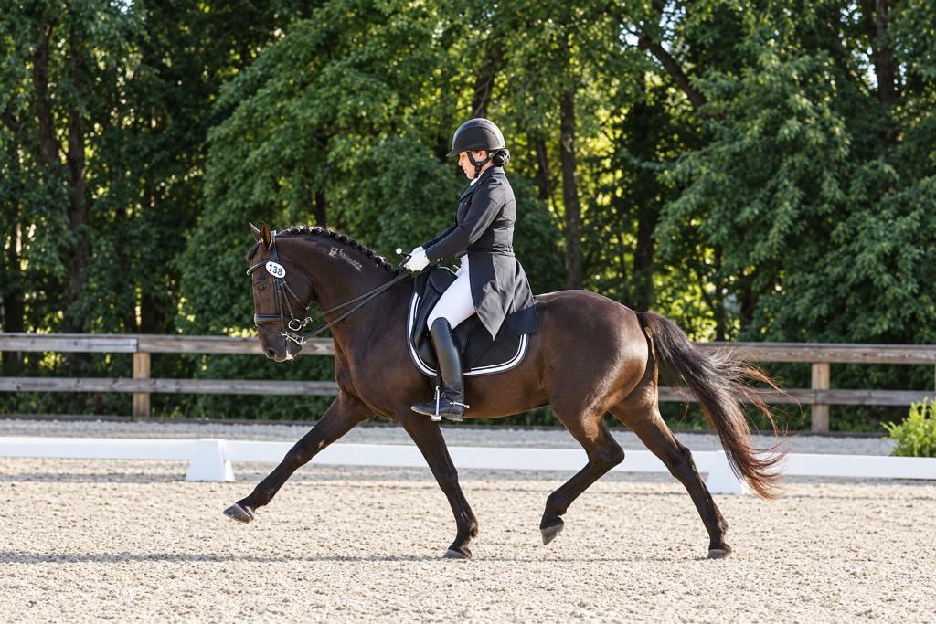 Gold medalist Grand Prix Dressage rider Ines Ritter on Reno, an FEI BLM mustang, in Southern Pines NC